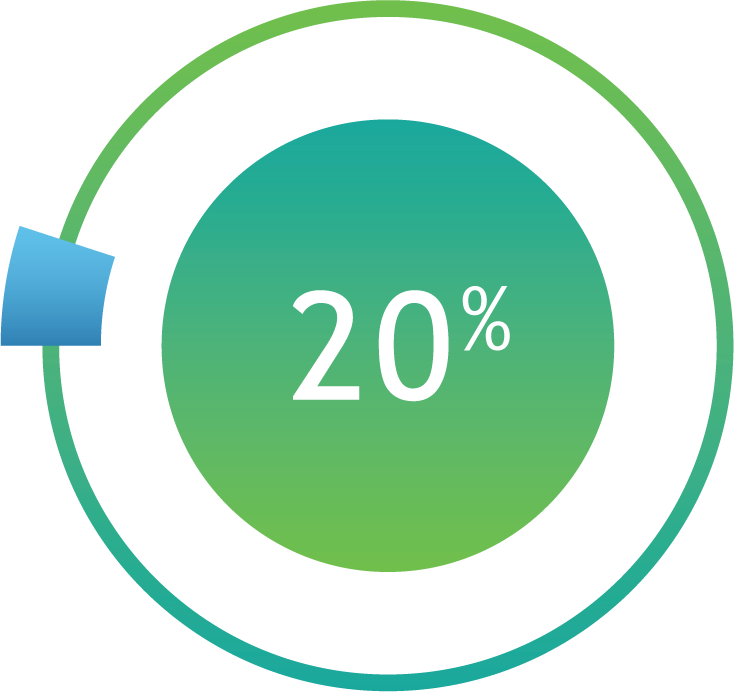 Circular graph showing 20%
